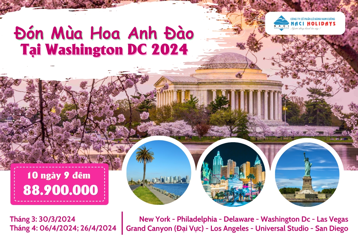 Đón Mùa Hoa Anh Đào Đẹp Lộng Lẫy Tại Washington DC 2024